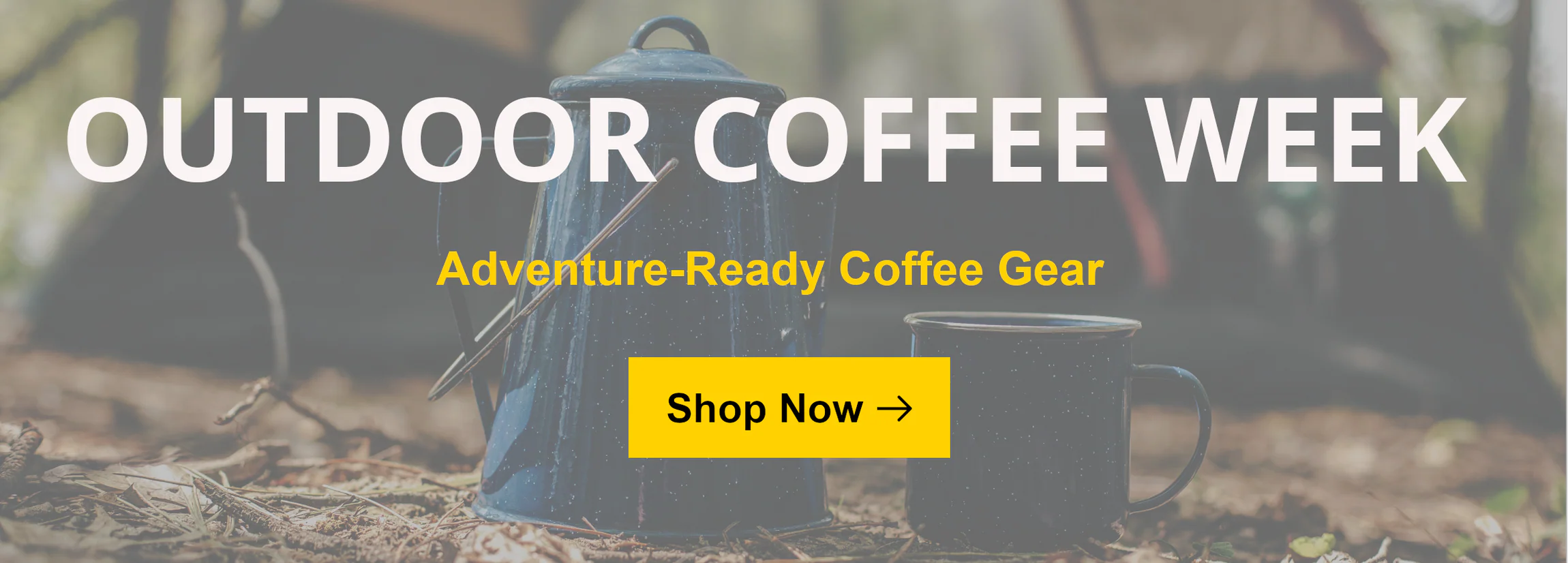 Elevate Your Home and Travel